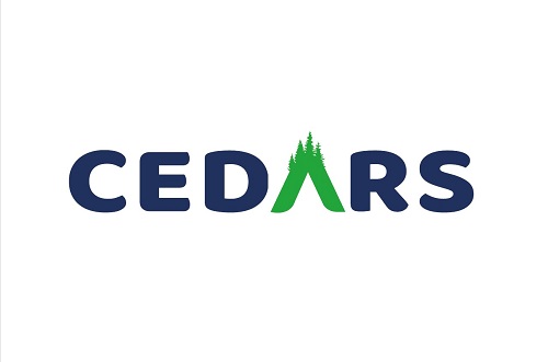 Webcam de la Estación de Esquí de The Cedars (Libano)