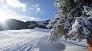 Ventajas en las estaciones de esquí del Grup FGC de La Molina, Vall de Núria, Vallter 2000, Espot  y Port Ainé para la temporada 2014-2015
