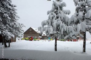Va parir Tour, Oncoesquiada, esculturas de hielo, Trofeo Espot Esquí y Copito de nieve, actividades de las estaciones del Grup FGC para esta setmana