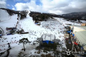 Información de la Estación de Esquí de Bogwang Phoenix Park Ski Resort (Pyeongchang-gun, Gangwon-do)