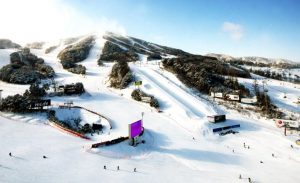 Información de la Estación de Esquí de Welli Hilli Park (Hoengseong-gun, Gangwon-do)