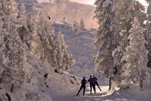 Por fin llega la nieve: disfruta del esquí nórdico y las raquetas de nieve en Navarra
