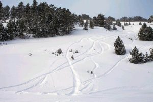Grandvalira encara el Fin de Semana con nieve Fresca y todas las pistas abiertas