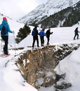 Carnaval, Esculturas de hielo y Bajada de antorchas, actividades de las estaciones del Grup FGC para este fin de semana