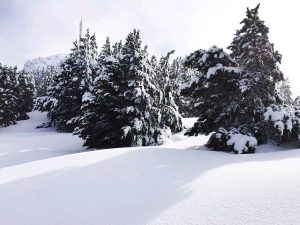 Actividades todo el Fin de Semana en La Molina