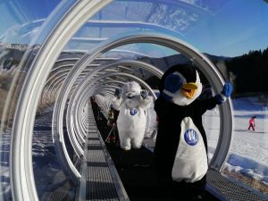 Fin de año en las estaciones de Neiges Catalanes