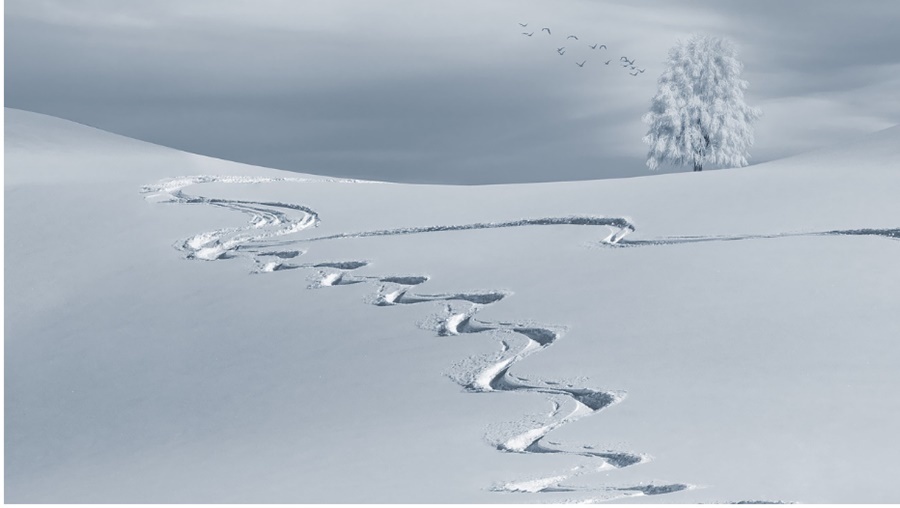 La rentable inversión de las estaciones de esquí