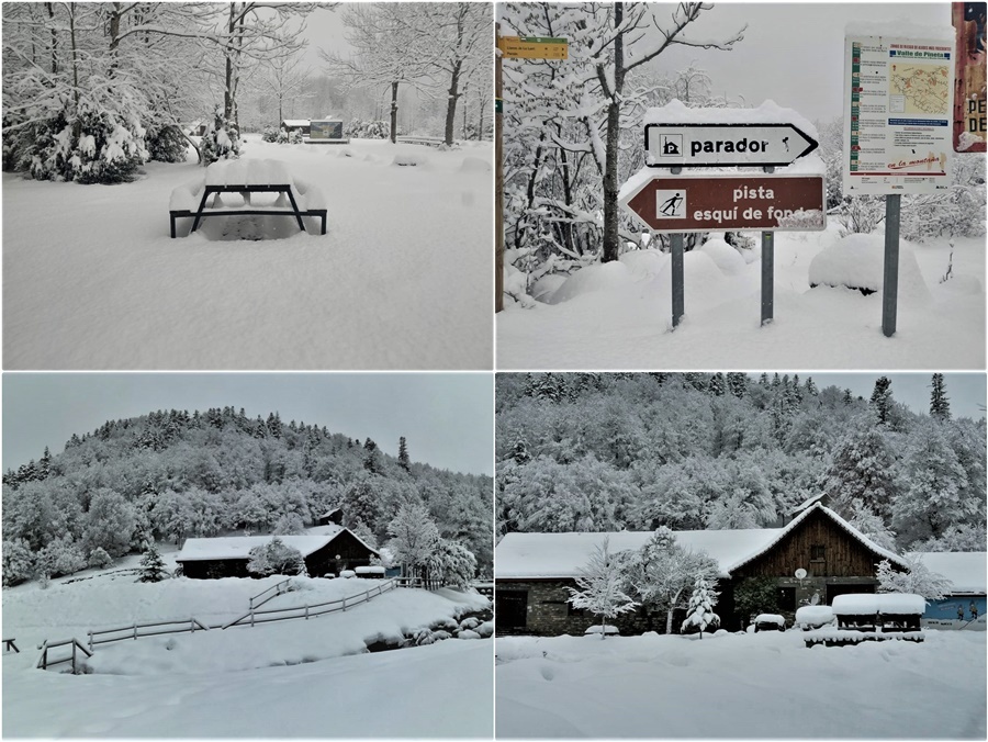 La nevada deja hasta 40 centímetros de nieve acumulados en los Espacios Nórdicos de Aragón