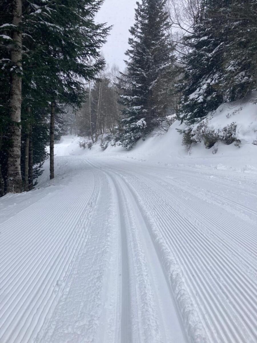 La Estación de Tavascan abrirá esta temporada 2025-2026 sin el esquí alpino